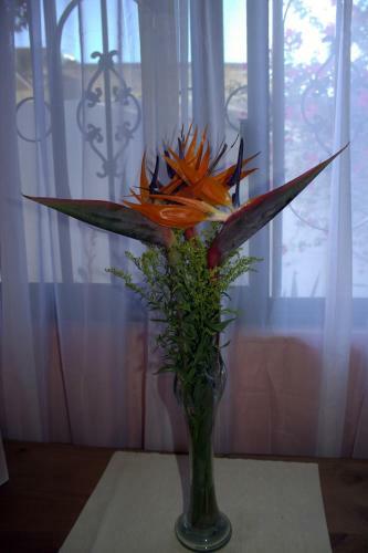 Bed & Breakfast Casa Kimberley