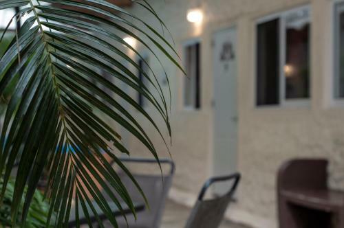 Hotel Bungalows Las Glorias