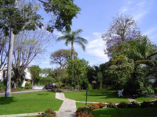 Hotel Jacarandas