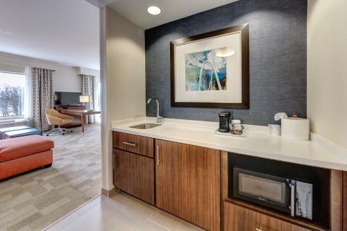 Hotel Hampton Inn & Suites Dallas/plano-east