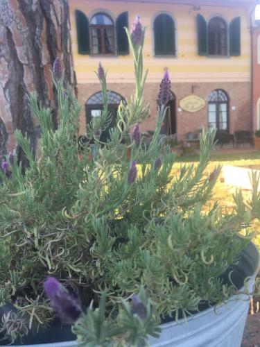 Bed & Breakfast Locanda Il Fornello