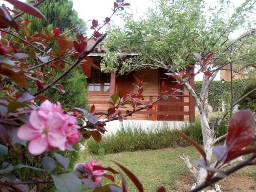 Lodge Chales Encantus
