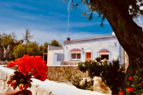 Hostal Country House Villa Di L'abbiu