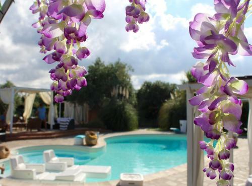 Hostal Country House Villa Di L'abbiu
