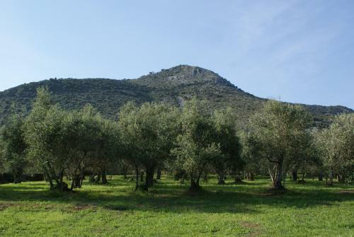 Agroturismo Villa Rinascimento Depandance