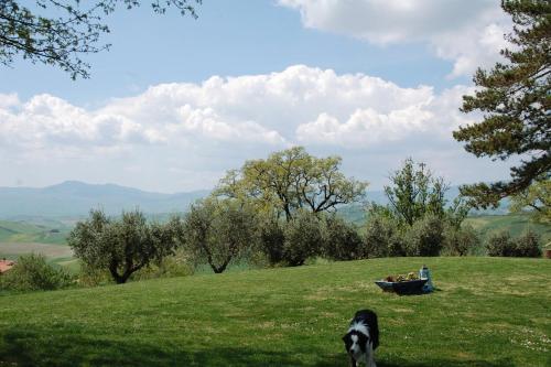 San Casciano Dei Bagni Villa Sleeps 8 Pool Wifi
