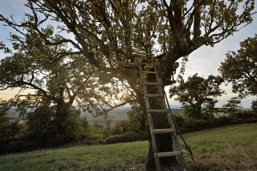 San Casciano Dei Bagni Villa Sleeps 8 Pool Wifi