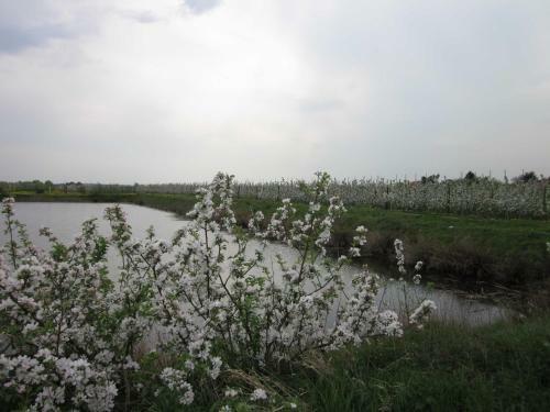 Apartamento Ferienwohnung Werner