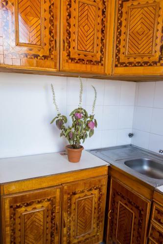 White City Hostel