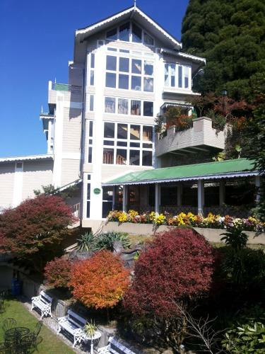 Hotel Cedar Inn