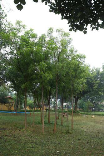 Hotel Tourist Village Khajuraho