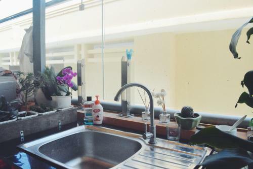 Hostal Dora Hostel