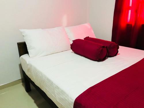Hostal Swan Holiday Resort
