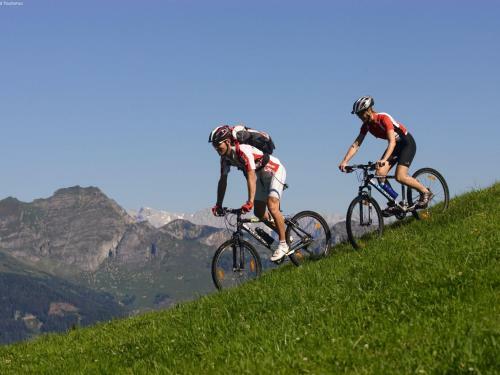 Fantastic Apartment In Saalbach-hinterglemm With Garden