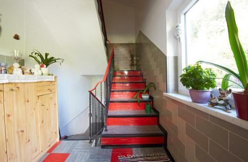 Apartamento Appartement Schneider By Holidayflats24