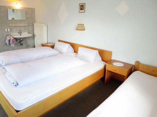 Ferienhaus Zell Im Zillertal 420s
