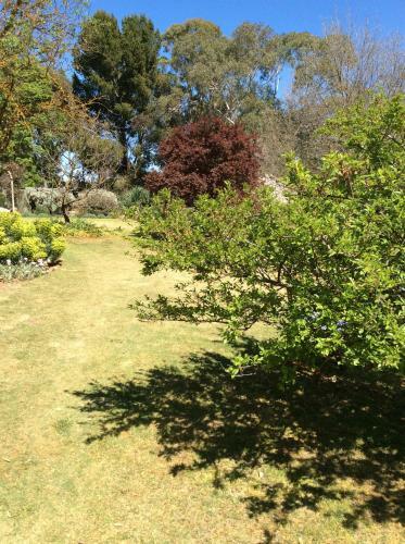 Villa Kit Kat Cottage - Heritage Accommodation Burra