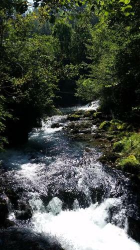 Domacinstvo Ubovic