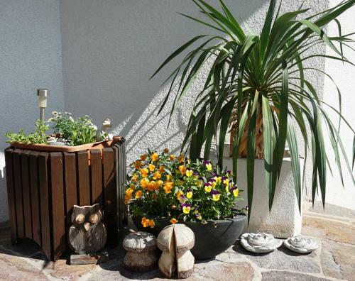 Apartamento Haus Walser