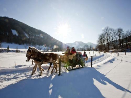Chalet Stadl Chalet 124