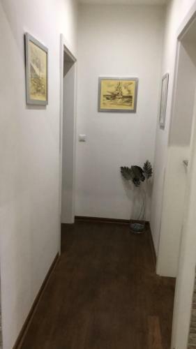 Apartamento Hanja