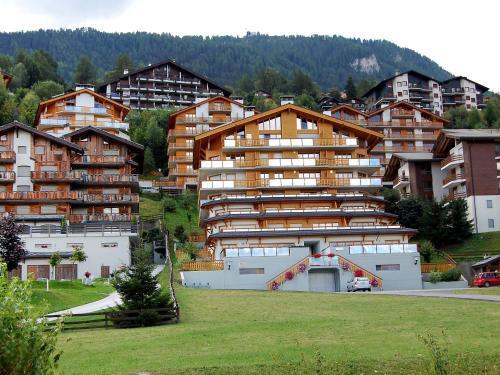 Apartment Cor Des Alpes 15