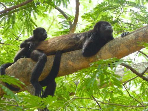 Hotel Lakegardens & Ecotours