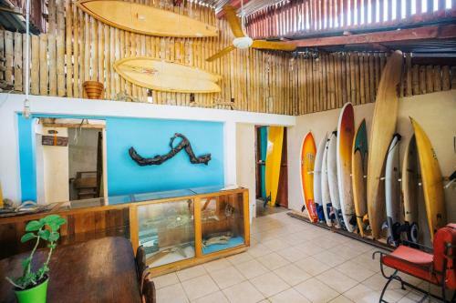 Hostal Surf House Pavones