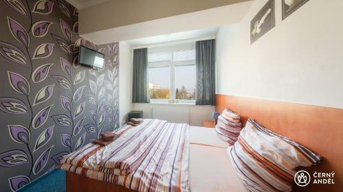 Hostal ?erny And?l
