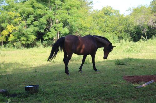 Agroturismo Pousada Do S�tio Preserva