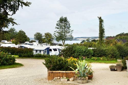 Hjarb�k Fjord Camping & Cottages