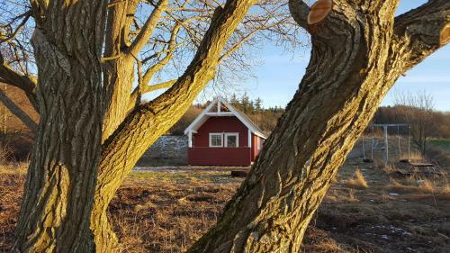 Hjarb�k Fjord Camping & Cottages