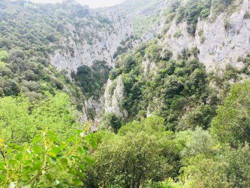 Huttopia Gorges Du Tarn