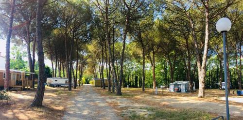 Camping Maureillas