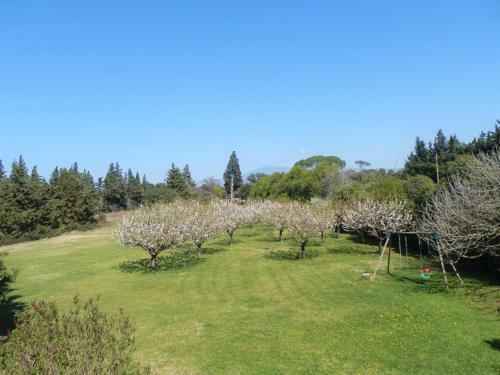 Apartamento G�te Crillon