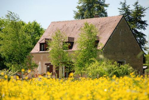 Moulins-engilbert Villa Sleeps 10 Pool