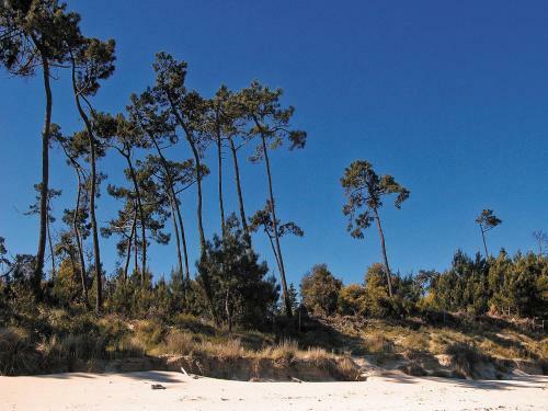 Camping Les Sables De Cordouan