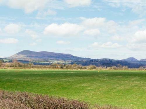 Robin's Nest, Craven Arms