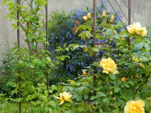 Sydney House Bed And Breakfast