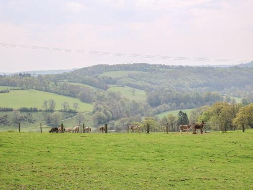 The Dairy, Llandysul
