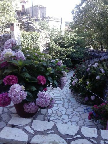 Hostal Guesthouse Stemnitsa
