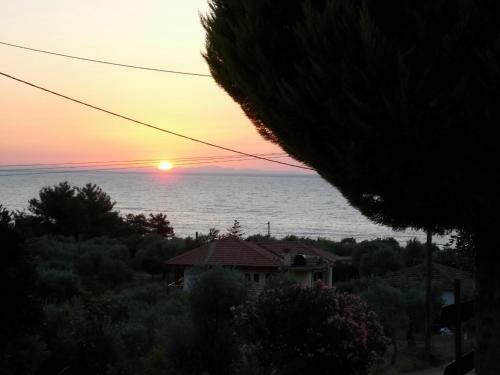 Hostal Aura Guesthouse B&B