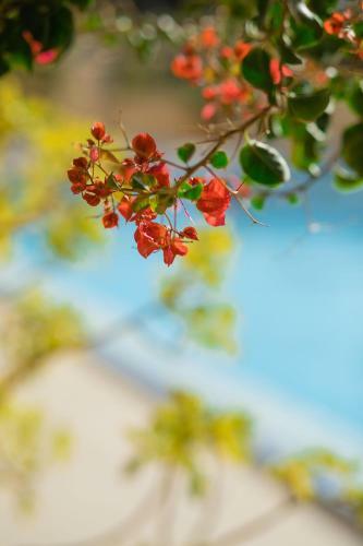 Hotel Sfakian Horizon