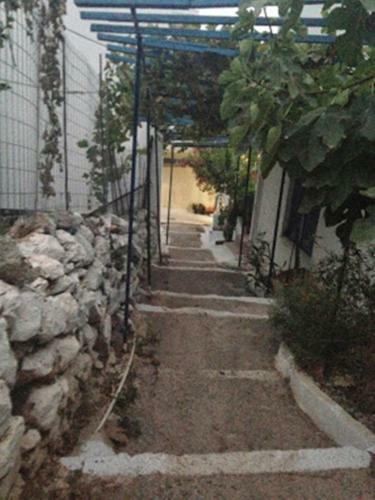 Hostal Sofia Rooms