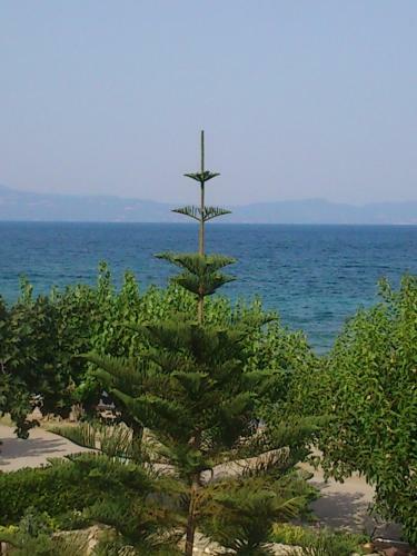 Hostal Evoikos Beach & Resort