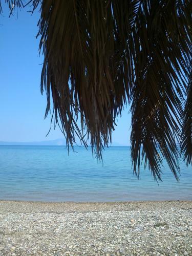 Hostal Evoikos Beach & Resort