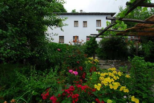 Hostal Archontiko Iatridis