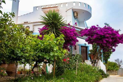Hostal Jodi's Pension