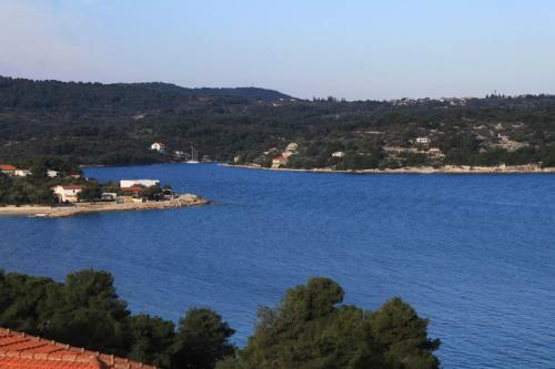 Apartments By The Sea Necujam, Solta - 8647