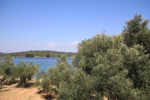 Apartments By The Sea Luka, Dugi Otok - 8151